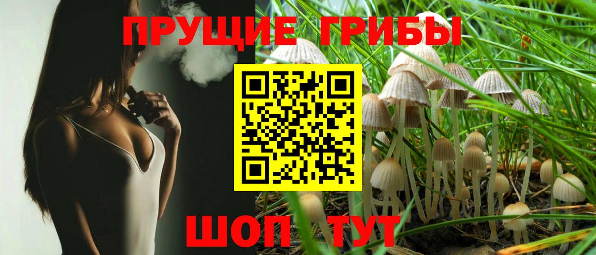 Люберцы  Галлюциногенные грибы Psilocybe  Вход с VPN 
